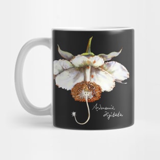 Baobab Bloom Mug